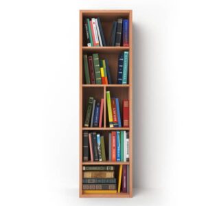 Alphabet I book shelf