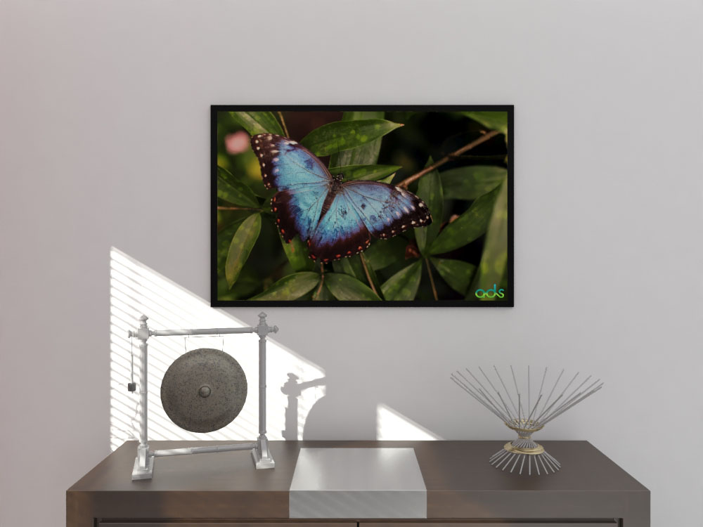 butterfly  Painting With Vinyl Printing Home Decorative