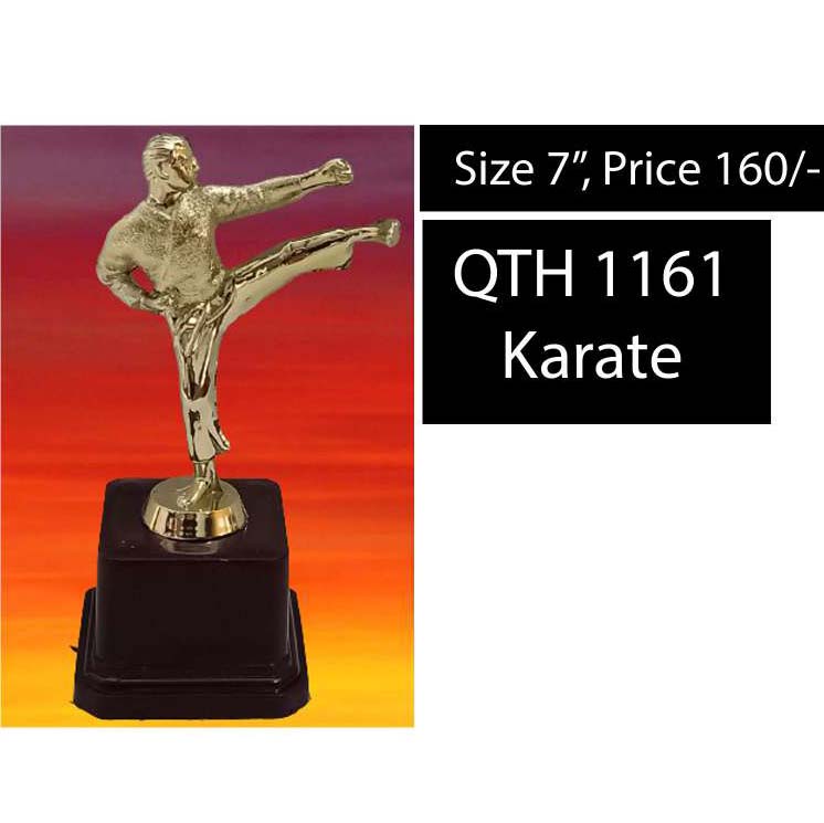 QTH 1161 Karate