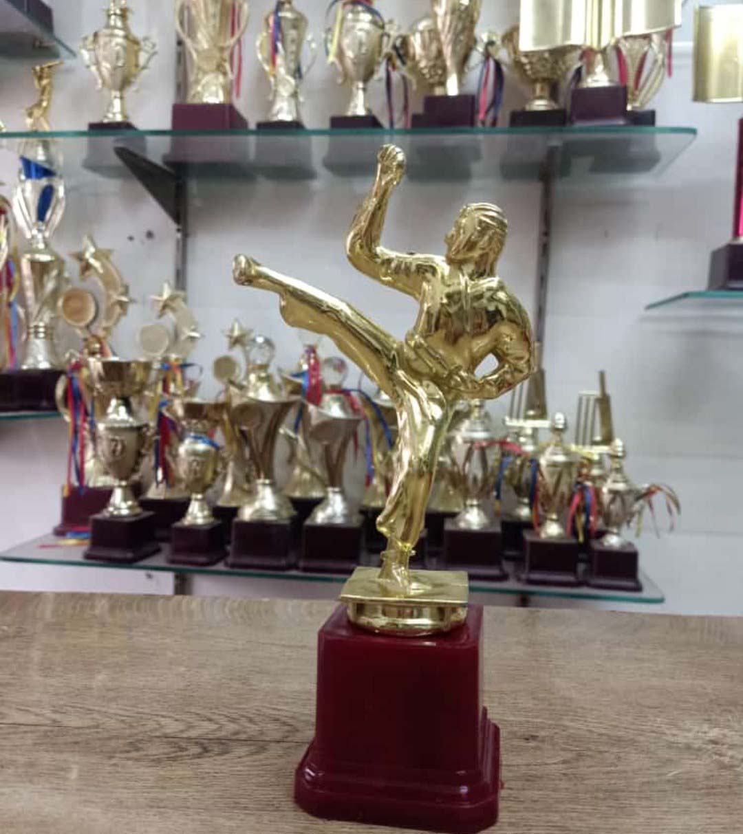 Kung Fu Karate Trophy