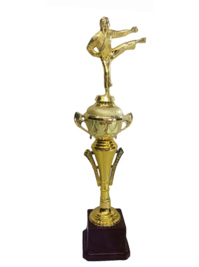 Trophy QTH 1208