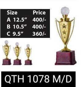 QTH 1076 D/M